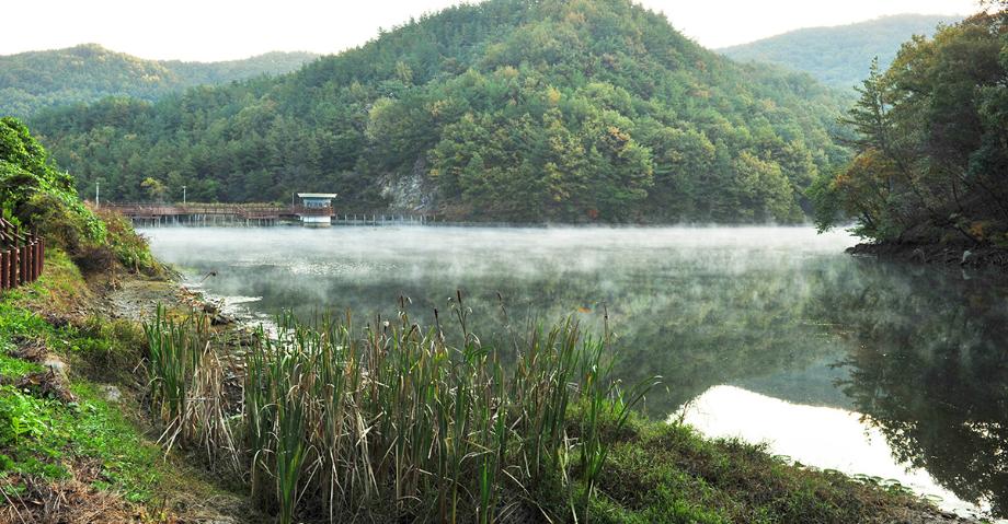 생태공원의 아침 - 강문주 | 입선 이미지