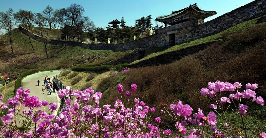 공산성의 봄 - 홍정숙 | 입선 이미지