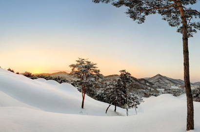 Lăng mộ vua Muryeong và Cụm mộ cổ ở Gongju - Mùa đông